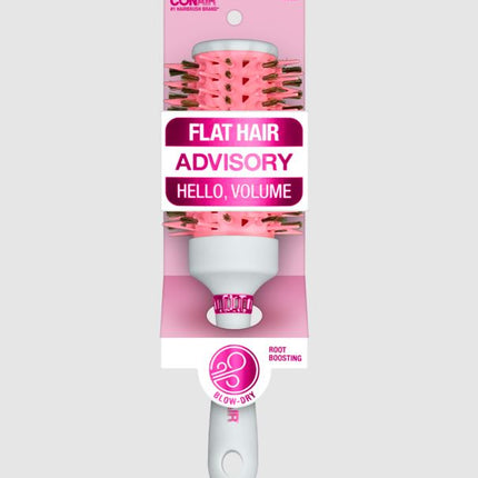 Flat Advisory HairBrush Blow D